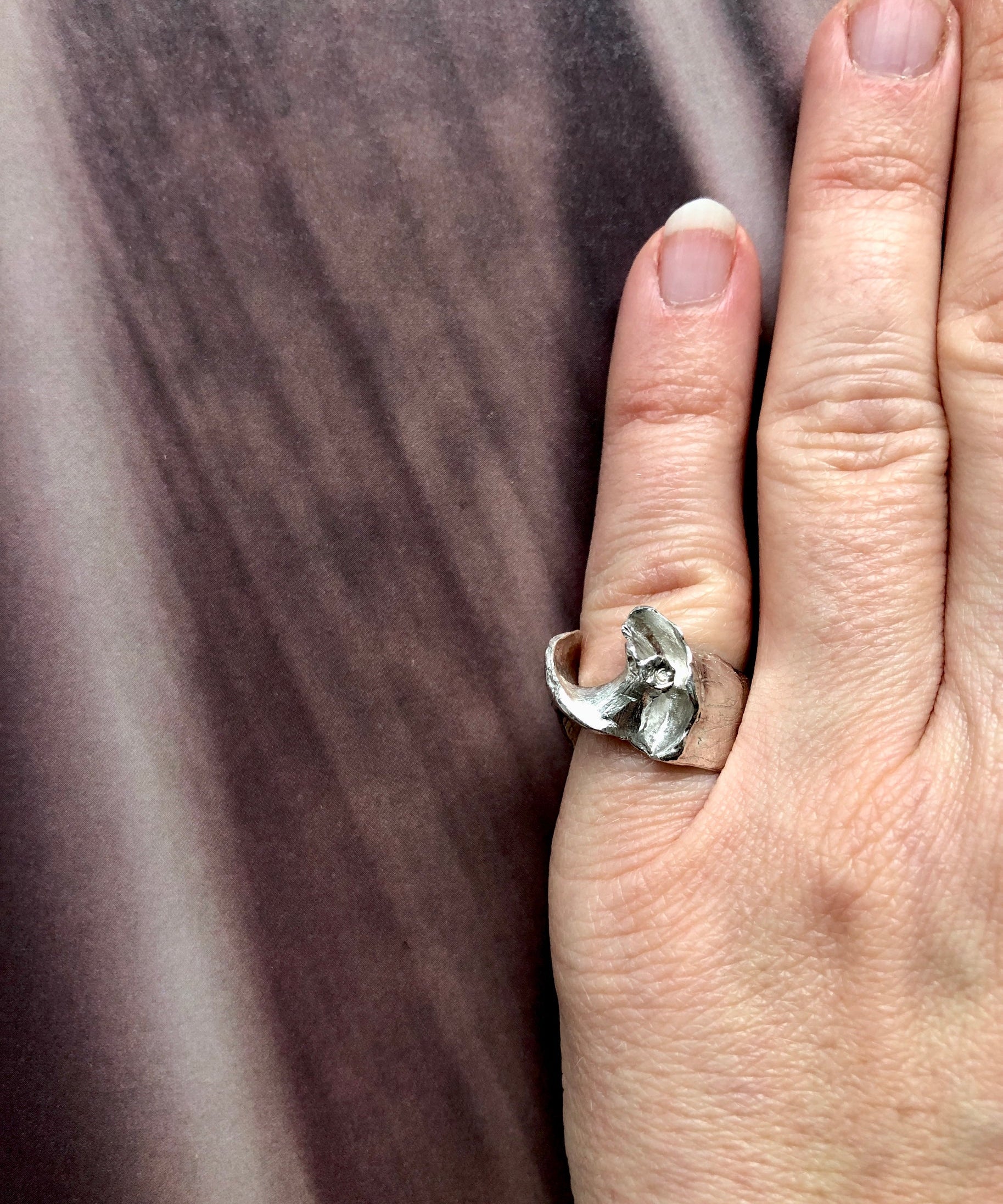 Coquille ring